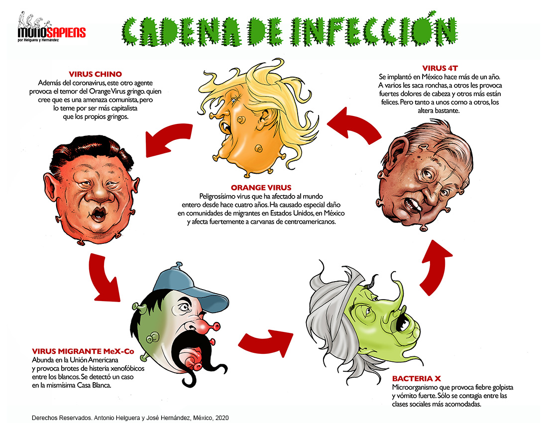 Cadenas de infección